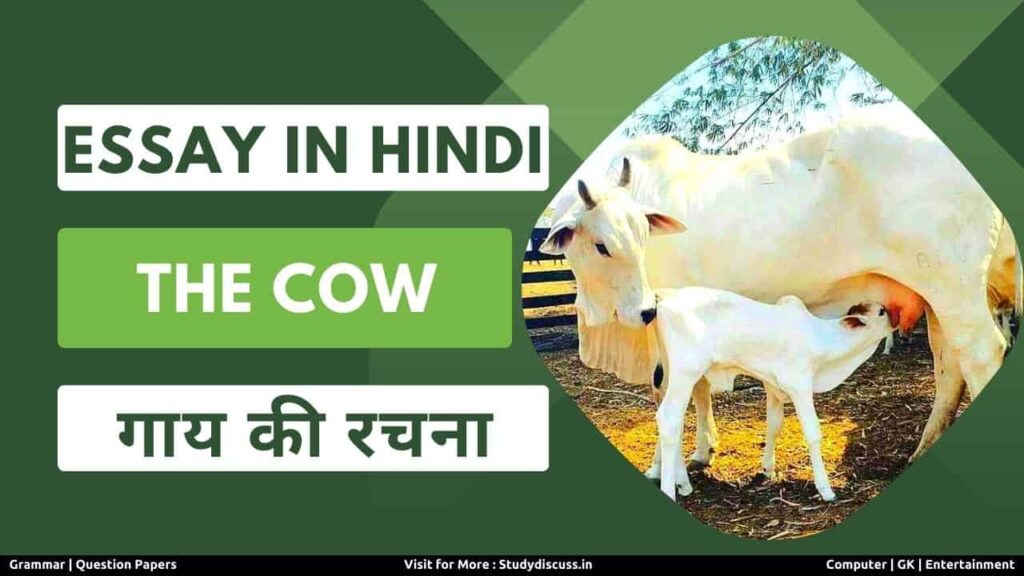 the cow essay hindi